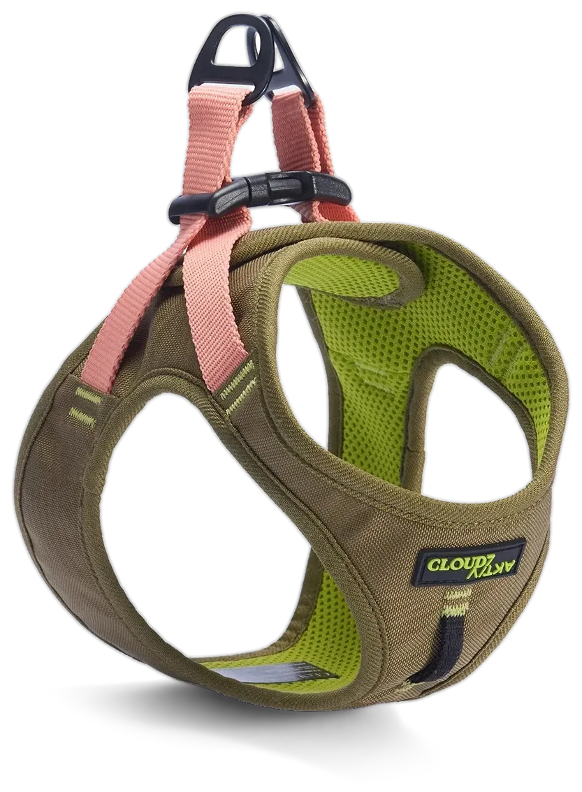 V-2 Westengeschirr AKTIV Cordura