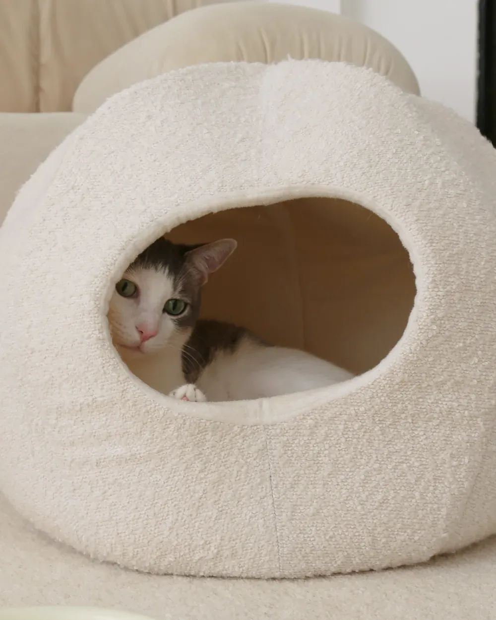 Katze in einer cremefarbenen Catenary-Bouclé-Katzenhöhle in einem hellen Wohnraum